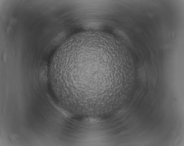 X0000062800498200512290252