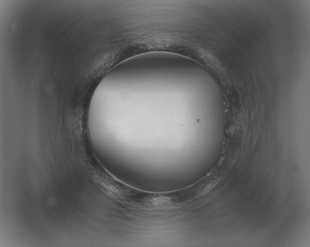 X0000062800501200512290252