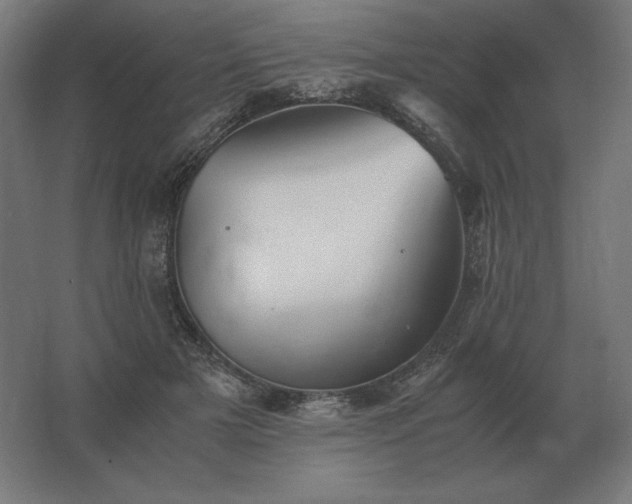 X0000062800505200512290252
