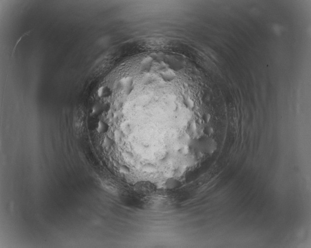 X0000062800507200512290252
