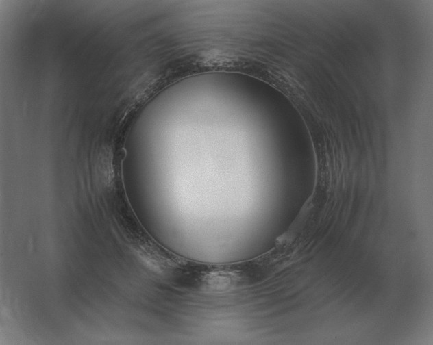 X0000062800508200512290252