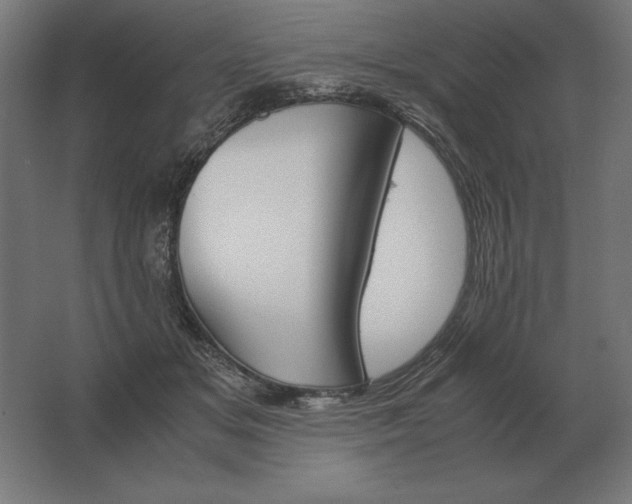 X0000062800509200512290252