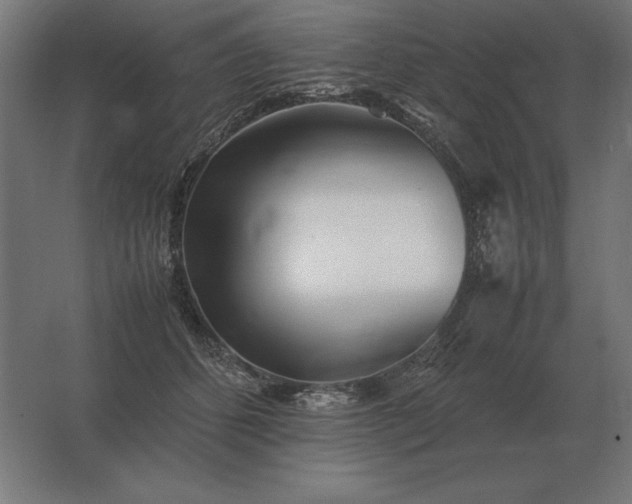 X0000062800512200512290252
