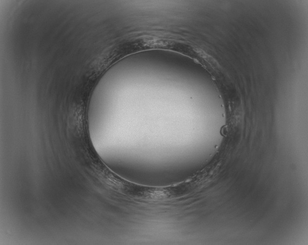 X0000062800513200512290252