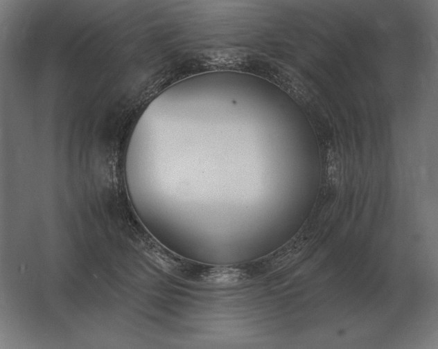 X0000062800514200512290252