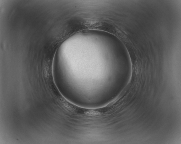 X0000062800515200512290252