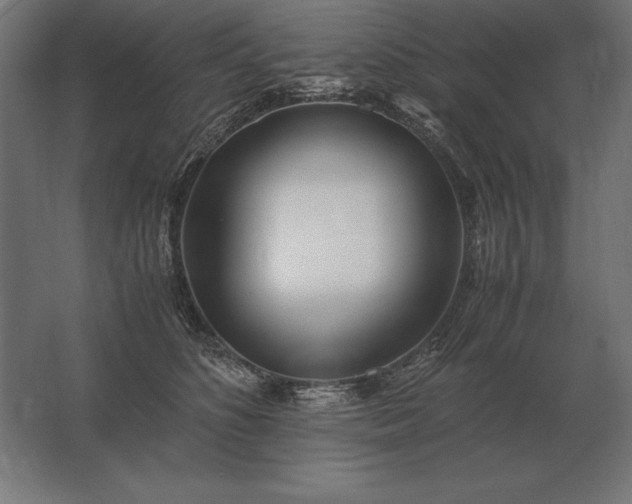 X0000062800516200512290252