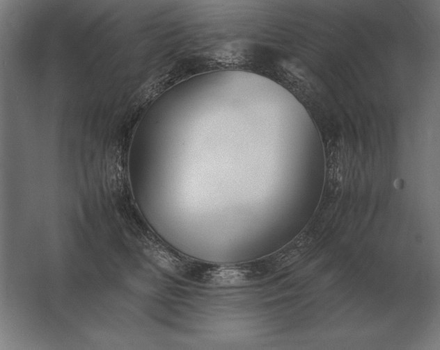 X0000062800518200512290252