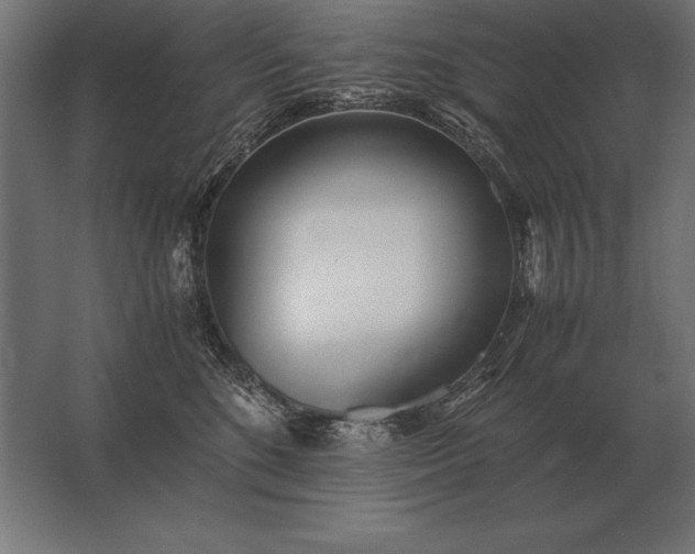 X0000062800520200512290252