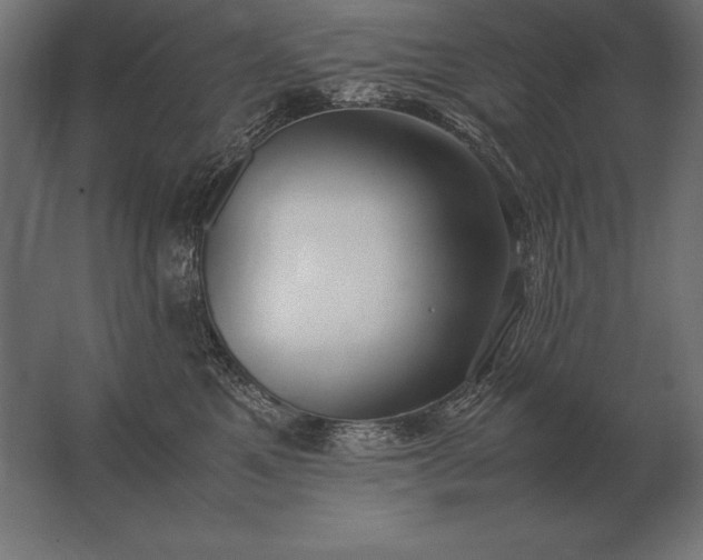 X0000062800521200512290252