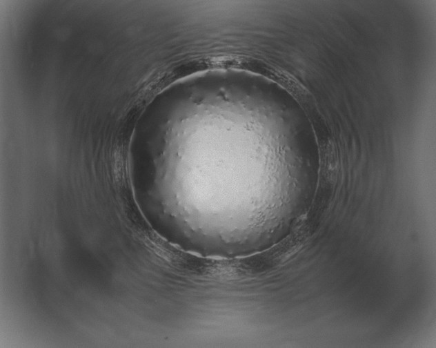 X0000062800523200512290252