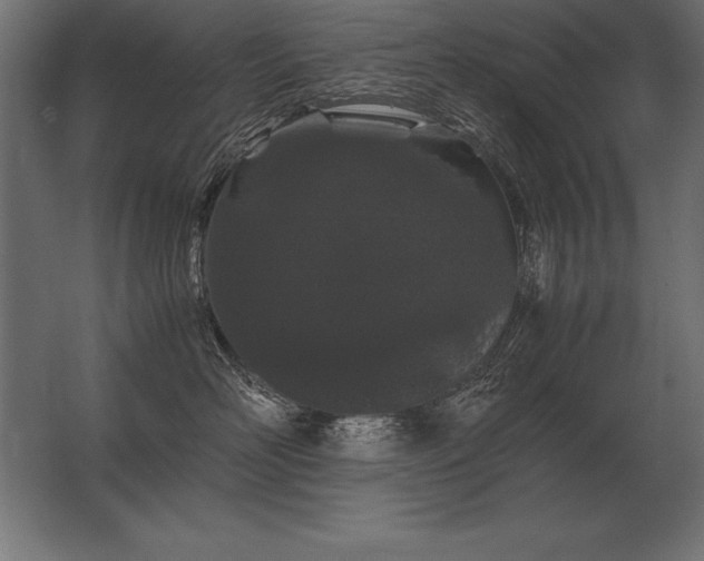 X0000062800526200512290252