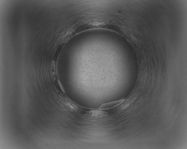X0000062800528200512290252