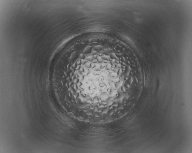 X0000062800531200512290251