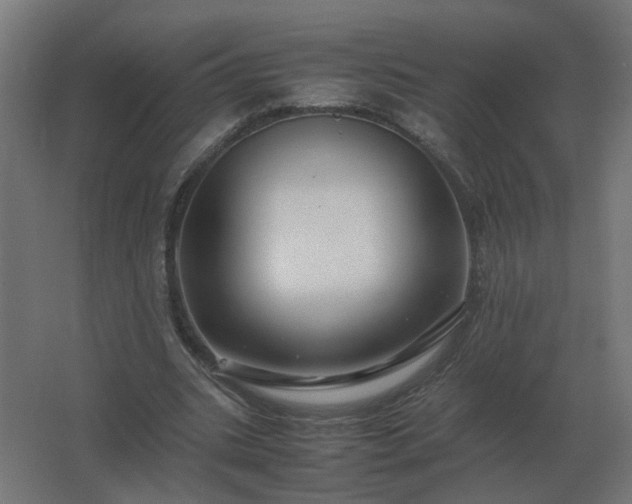 X0000062800535200512290251