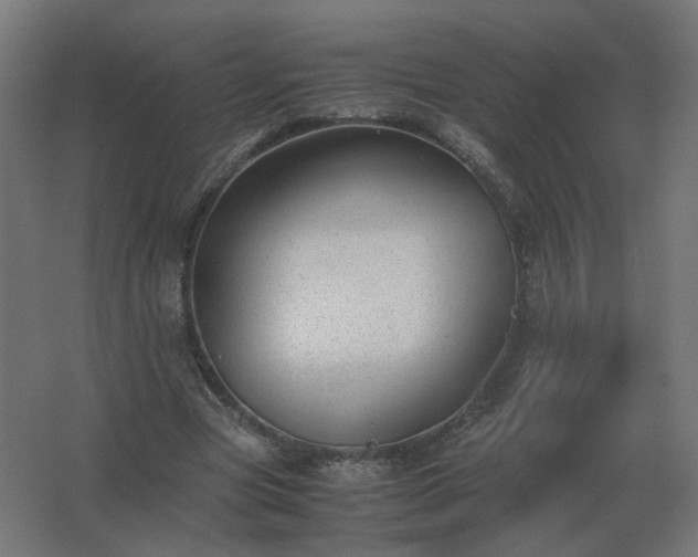 X0000062800537200512290251