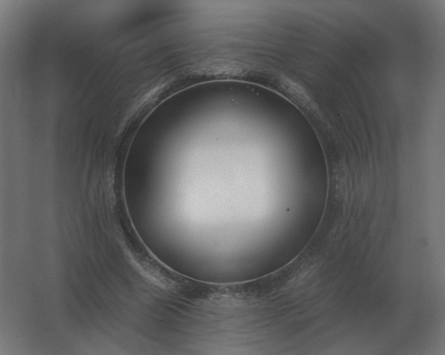 X0000062800538200512290251