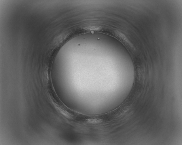 X0000062800541200512290251