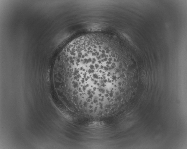 X0000062800543200512290251