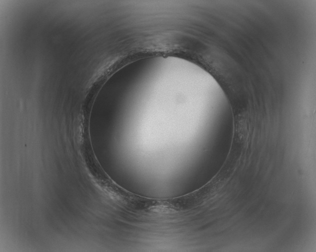 X0000062800544200512290251