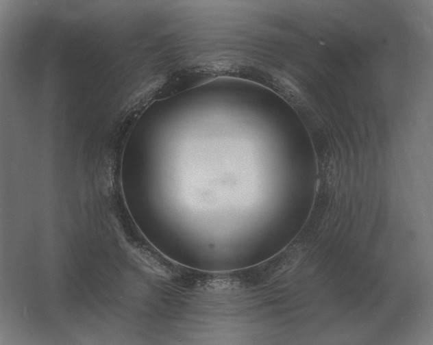 X0000062800546200512290251