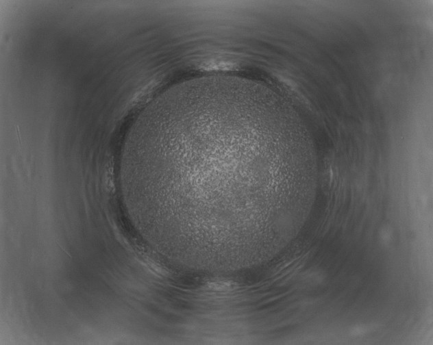 X0000062800547200512290251