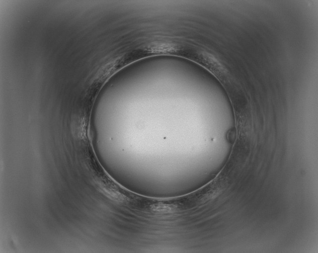 X0000062800549200512290251