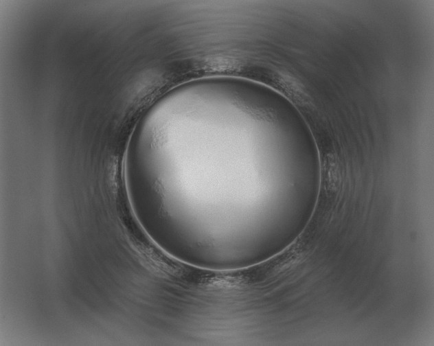 X0000062800550200512290251
