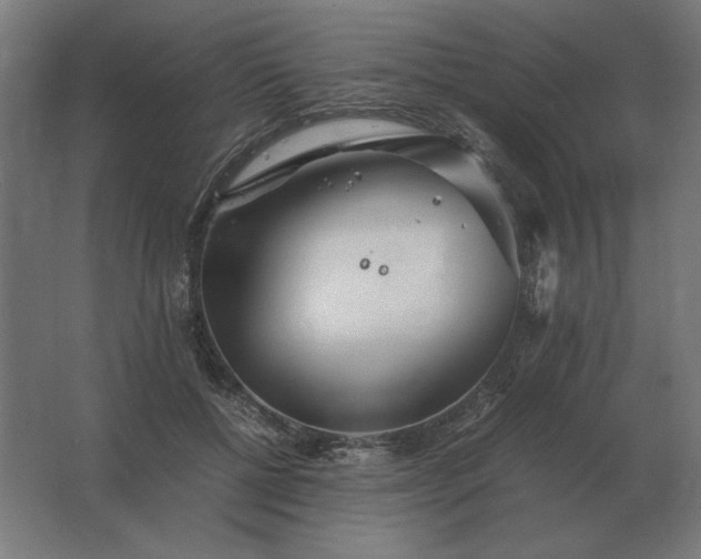 X0000062800552200512290251