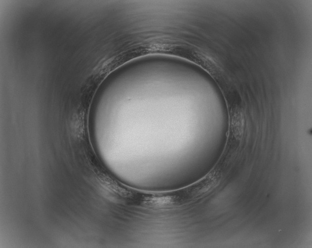 X0000062800554200512290251