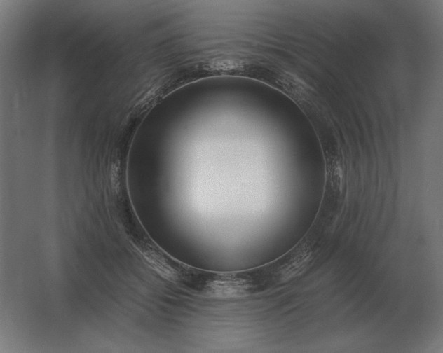 X0000062800556200512290251