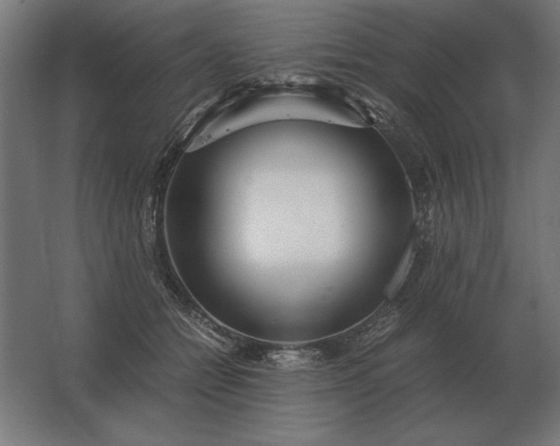 X0000062800558200512290251