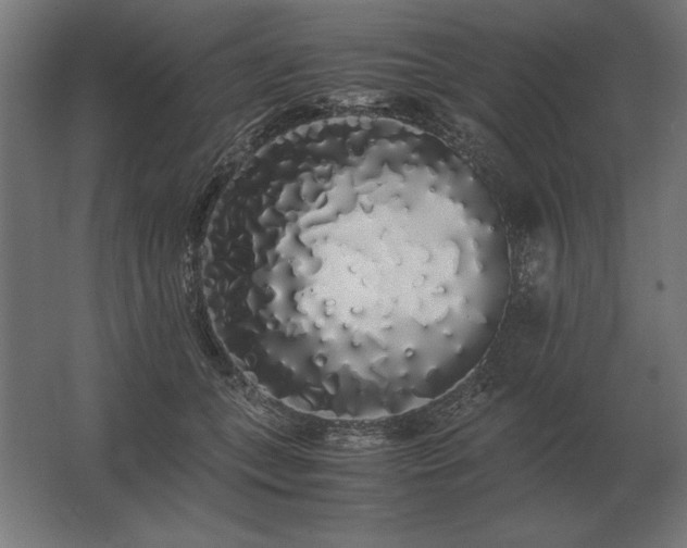 X0000062800559200512290251