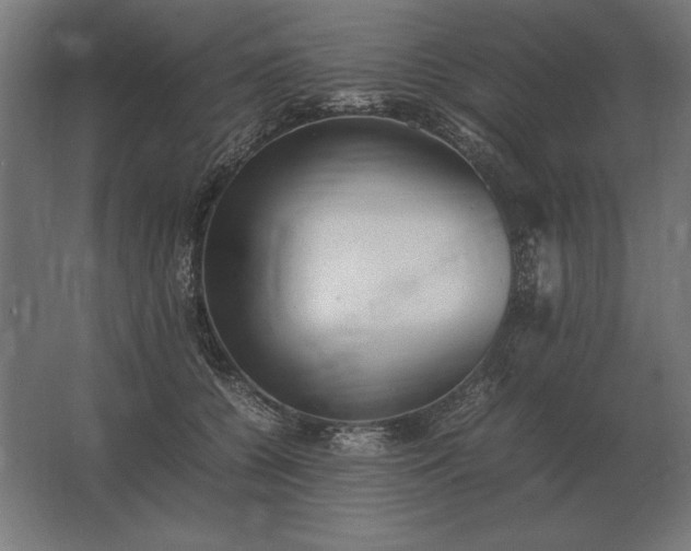 X0000062800560200512290251