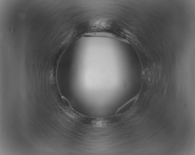 X0000062800564200512290251