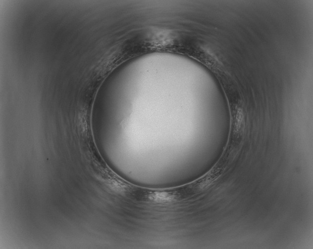 X0000062800565200512290251