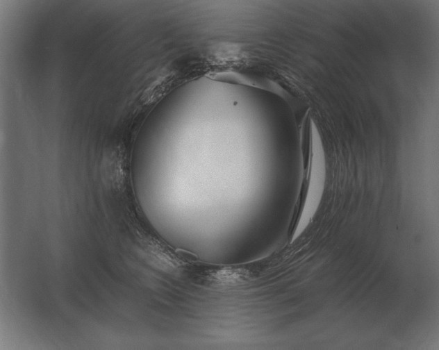 X0000062800566200512290251