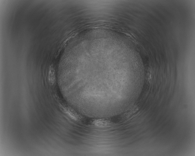 X0000062800568200512290251
