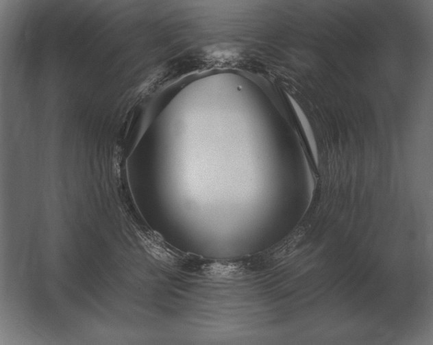 X0000062800570200512290251