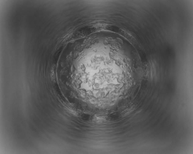 X0000062800573200512290251