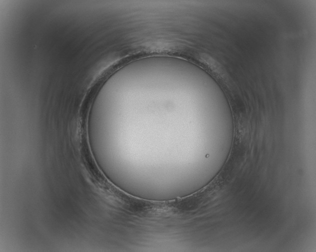X0000062800583200512290251
