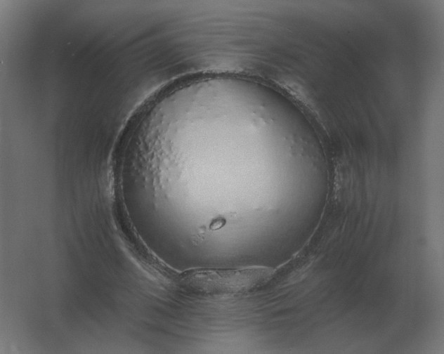 X0000062800584200512290251