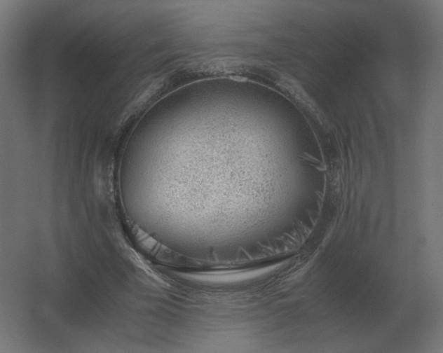 X0000062800585200512290251