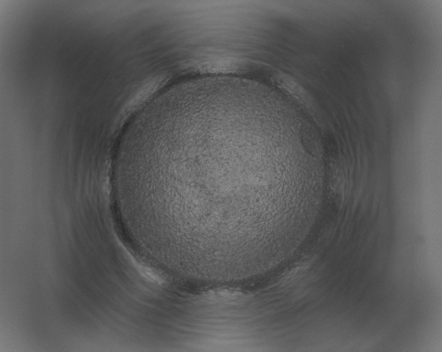 X0000062800586200512290251