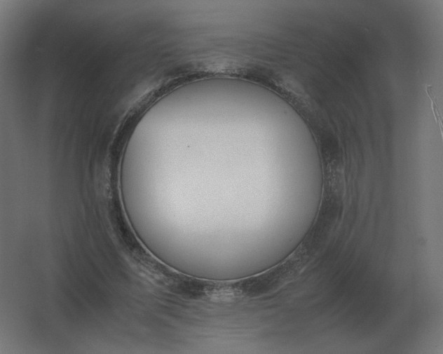 X0000062800587200512290251