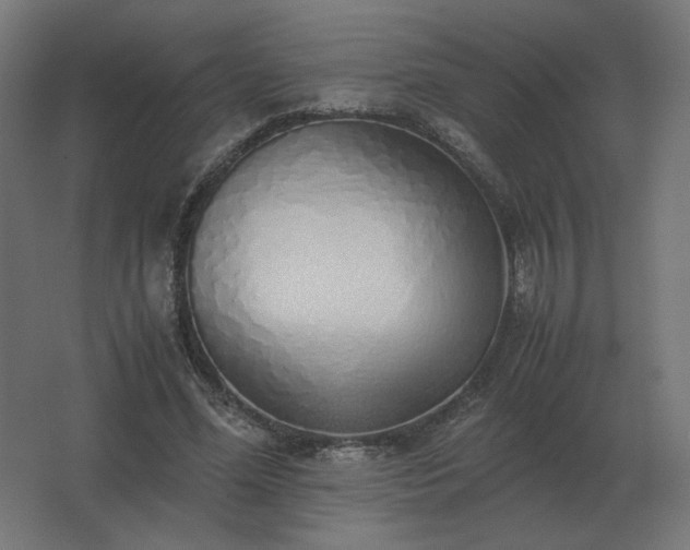 X0000062800588200512290251