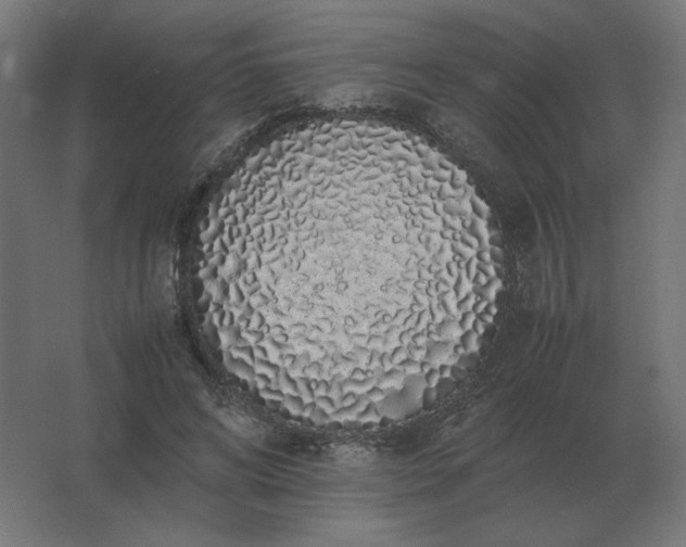 X0000062800592200512290250