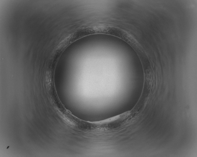 X0000062800593200512290250