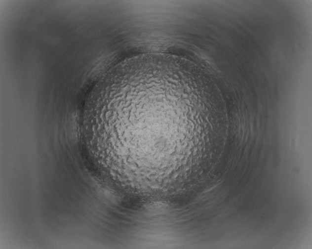 X0000062800594200512290250