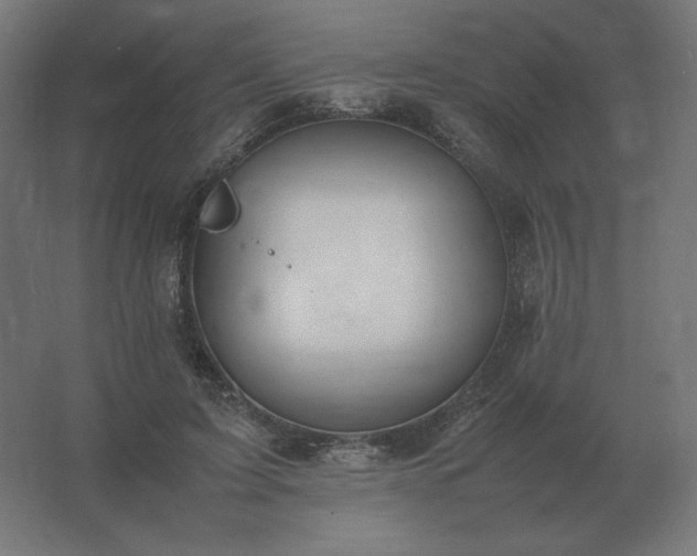 X0000062800595200512290250